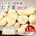 かさま 熟成栗 訳あり むき栗 1.5kg