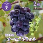 岡山 花笑み農園のブドウ オーロラブラック 1kg