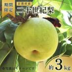 ショッピングふるさと納税 梨 ふるさと納税 京都府 【先行予約・期間限定】2026年産 旬の二十世紀梨 約3kg 7玉〜10玉 産地直送