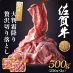 艶さし 佐賀牛 焼肉用 500g
