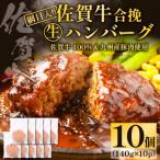 網目入り 佐賀牛合挽生ハンバーグ 10個セット 140g×10p