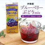 伊藤園 ブルーベリーぶどうmix 紙パック 200ml×24本