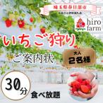ふるさと納税 春日部市 いちご狩りご案内状　大人2名