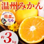 訳あり みかん サイズミックス 3S~3L 約3kg