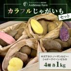 直売所で カラフルじゃがいもセット 江別産