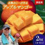 今帰仁村 名物おじーが作るアップルマンゴー2kg