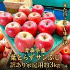 ふるさと納税 青森市 【2026年1月〜2月発送予定】平均糖度13度以上! 葉とらずサンふじ 約3kg 訳あり