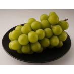 シャインマスカット 約550g