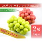 ふるさと納税 山梨市 【2026年先行予約】サンシャインレッドとシャインマスカット　美味しい訳あり計1kg詰め合わせ