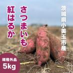 ふるさと納税 小美玉市 茨城県産さつまいも 紅はるか 5kg(訳あり・無選別)