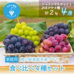 岡山 花笑み農園の食べ比べ4種 シャイン入り 2kg