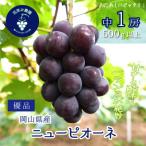 岡山 花笑み農園のニューピオーネ 500g以上