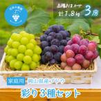 岡山 花笑み農園のブドウ 彩り3種セット 1.8kg