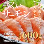 ふくいサーモン 柵どり 150g×4パック