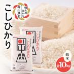 産こしひかり10kg 5kg×2袋