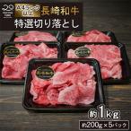 長崎和牛 特選 切り落とし 約1kg