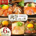 丼 6種