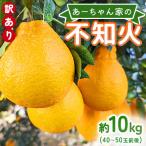 不知火 あーちゃん家の不知火 訳あり 約10kg【早川果樹