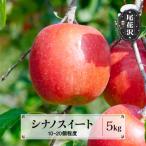 訳あり りんご サンふじ 無印品 5kg