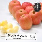 訳あり りんご サンふじ 約5kg
