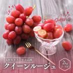ぶどう クイーンルージュ 産秀品 約2kg