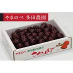 ふるさと納税 山辺町 《先行受付》2026年 山形県産 サミット バラ詰 700g