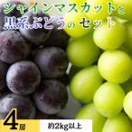 ショッピングふるさと納税 シャインマスカット ふるさと納税 都留市 シャインマスカットと黒系ぶどう(藤稔・ピオーネ等)のセット　4房　約2.0kg以上