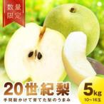 廿世紀梨 5kg