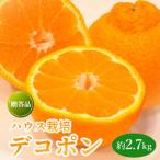 2027年 デコポン 約2.7kg