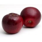 ふるさと納税 千曲市 【2026年先行予約】りんご 秋映 約3kg