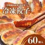 冷凍餃子 20個x3袋 計60個
