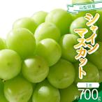 ショッピングふるさと納税 シャインマスカット ふるさと納税 笛吹市 2026年発送　シャインマスカット　1房(約700g)