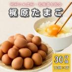 梶原たまご 計30個