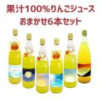 相澤農園 りんごジュース おまかせ6本セット