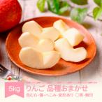 ふるさと納税 村山市 【先行予約】りんご 品種おまかせ 5kg 訳あり(色むら・傷・へこみ・変形) 2026年産