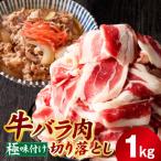 ふるさと納税 泉佐野市 【Yahoo!ふるさと納税限定】牛バラ肉 切り落とし 1kg 氷温熟成×極味付け mrz0357