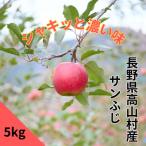 サンふじ りんご 5kg