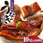 三河一色産うなぎ蒲焼 10尾