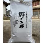 網野郷産 特別栽培米コシヒカリ 玄米10kg