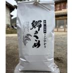 網野郷産 特別栽培米コシヒカリ 精米10kg