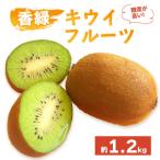 キウイフルーツ 香緑 約1.2kg