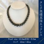 SVタヒチ黒蝶真珠ネックレス