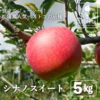 松陽園の樹上 完熟 りんご シナノスイート 5kg