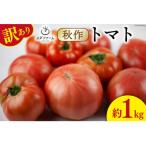 秋作 訳あり 桃太郎トマト 1kg