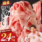 ふるさと納税 泉佐野市 国産 豚肉 切り落とし 2.4kg 氷温熟成×極味付け 小分け mrz0303