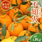ふるさと納税 宇城市 不知火【先行予約!2026年2月上旬〜発送予定】宇城市産 約5kg(15玉〜22玉)【ひかる農園】