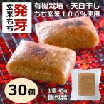 ふるさと納税 登米市 天日干し米の発芽玄米餅(有機原材料100%使用)45g×30個 (1350g)
