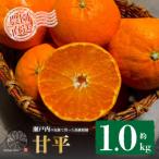 ショッピング甘平 ふるさと納税 松山市 【先行予約】1月下旬から発送予定 甘平 家庭用 お試しサイズ 約1kg 4〜5玉目安 サイズ混合