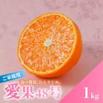 ふるさと納税 松山市 【先行予約】 愛果48号 3月上旬より順次発送 家庭用 約1kg 4〜5玉目安 紅プリンセス同品種