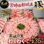 ふるさと納税 都城市 【Yahoo!ふるさと納税限定】【使い易さ抜群】都城産豚「高城の里」わくわくセット4.35kg